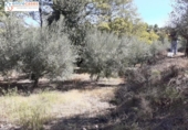 Terreno no urbanizable en venta en la España, Jérica, ref: TR178404 foto