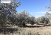 Terreno no urbanizable en venta en la España, Jérica, ref: TR178404 foto