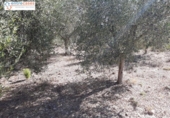 Terreno no urbanizable en venta en la España, Jérica, ref: TR178404 foto