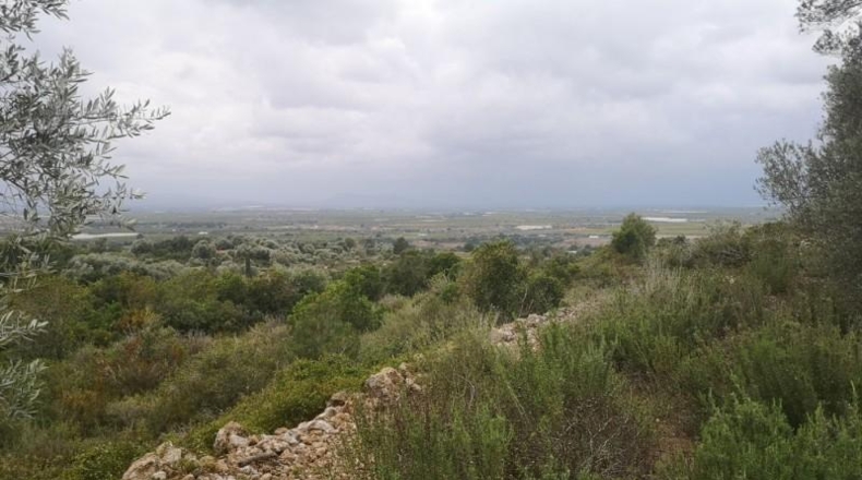 Tarragona - Ulldecona - 6122m2