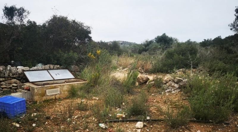 Tarragona - Ulldecona - 6122m2