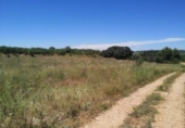 Terreno no urbanizable en venta en la España, Vall d'Alba, ref: TR121904 foto