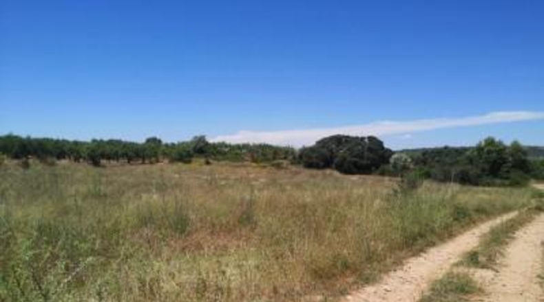 Castellón - Vall d'Alba - 5718m2