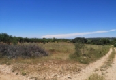 Terreno no urbanizable en venta en la España, Vall d'Alba, ref: TR121904 foto