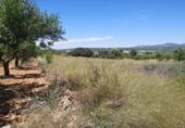 Terreno no urbanizable en venta en la España, Vall d'Alba, ref: TR121904 foto