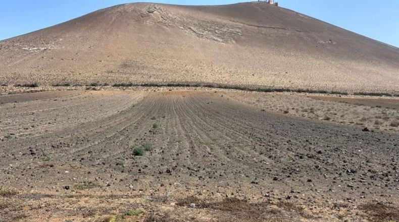 Las Palmas - San Bartolomé - 3824m2