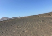 Terreno no urbanizable en venta en la España, San Bartolomé, ref: TR388782 foto