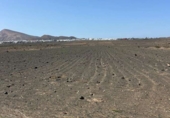 Terreno no urbanizable en venta en la España, San Bartolomé, ref: TR388782 foto
