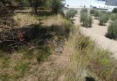 Terreno no urbanizable en venta en la España, Ontinyent, ref: TR348935 foto