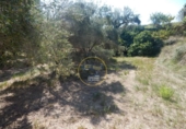 Terreno no urbanizable en venta en la España, Ontinyent, ref: TR348935 foto