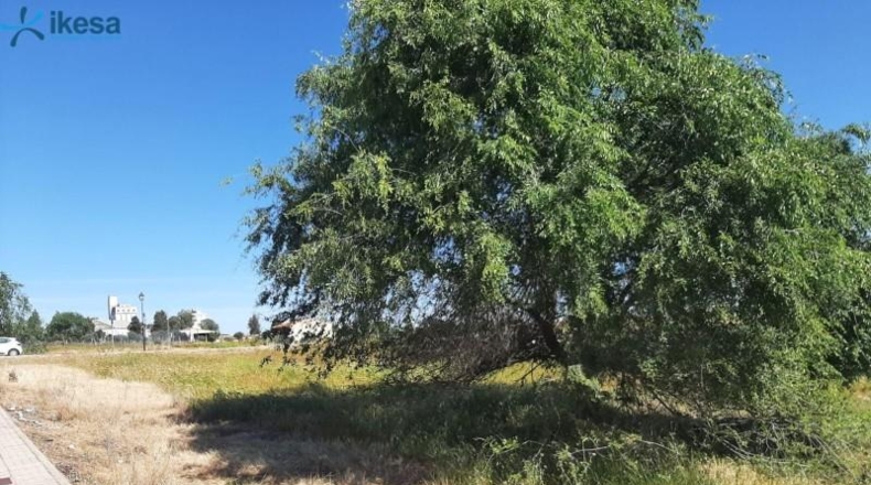 Badajoz - Azuaga - 312m2