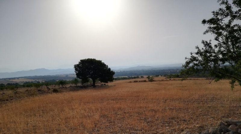 Murcia - Lorca - 23239m2