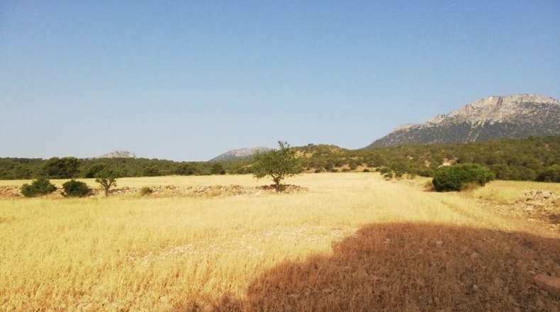 Murcia - Lorca - 23239m2
