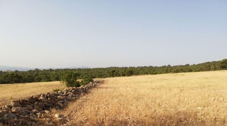 Murcia - Lorca - 23239m2