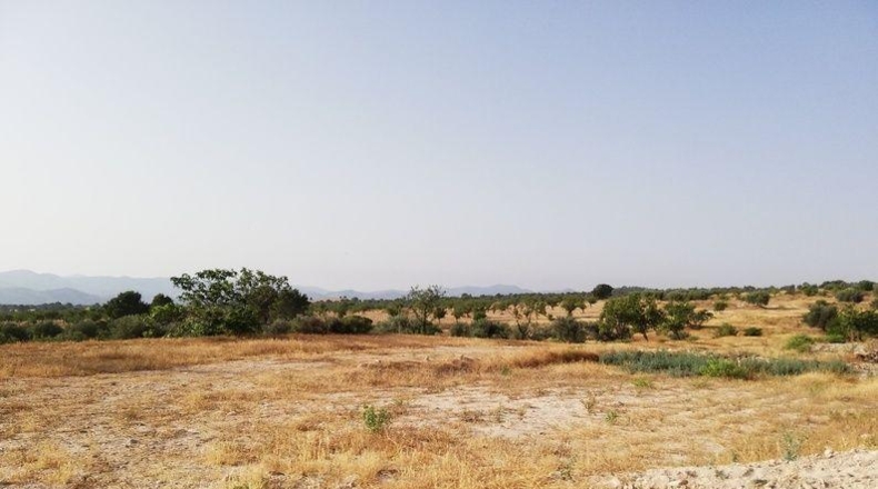 Murcia - Lorca - 23239m2