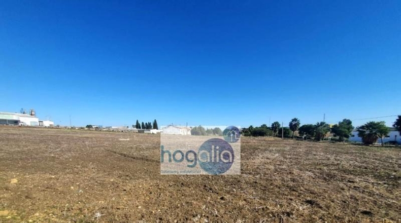 Севилья - Alcalá del Río - 120m2