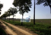 Земля, подлежащая урбанизации на продажу у города Alcalá del Río Фото
