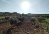 Non-developable land for sale on España, Torre del Compte, ref: TR398643 photo