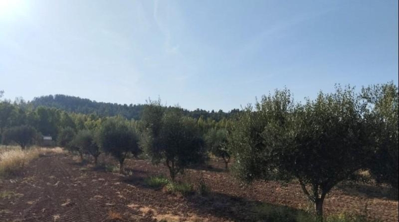 Teruel - Torre del Compte - 5098m2
