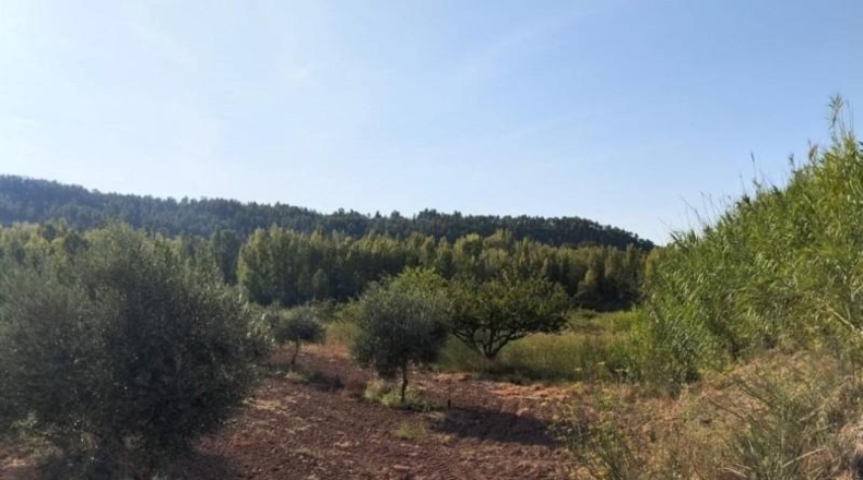 Teruel - Torre del Compte - 5098m2