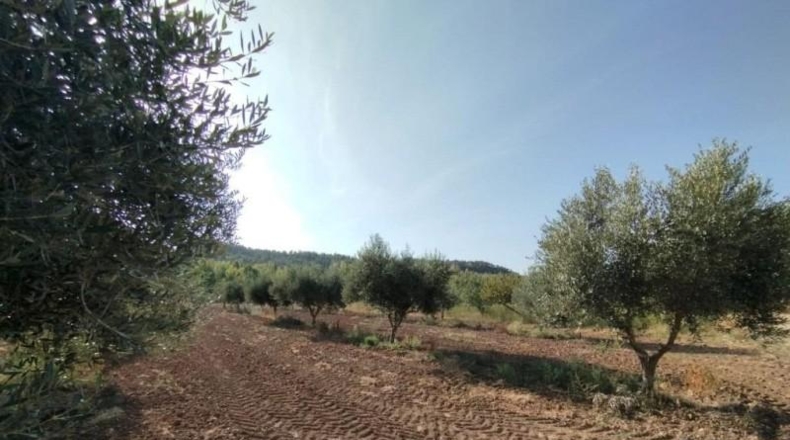 Teruel - Torre del Compte - 5098m2