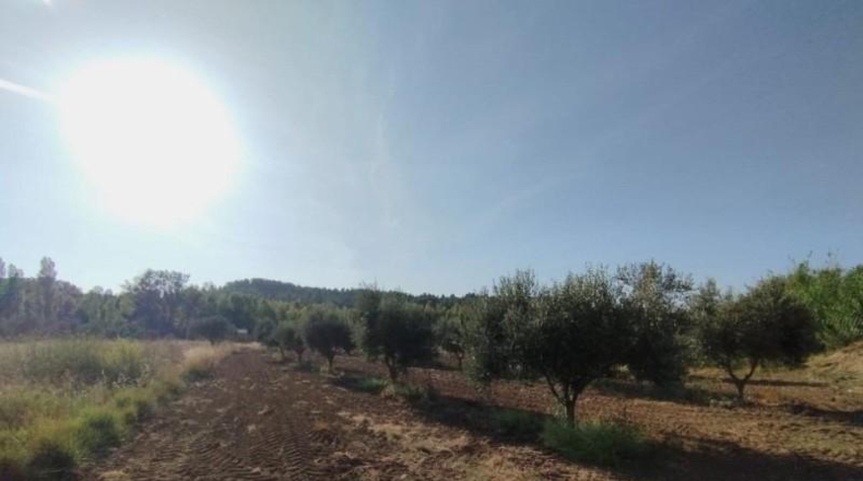 Teruel - Torre del Compte - 5098m2