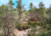 Non-developable land for sale on España, Valderrobres, ref: TR322251 photo