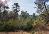 Non-developable land for sale on España, Valderrobres, ref: TR322251 photo