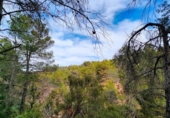 Non-developable land for sale on España, Valderrobres, ref: TR322251 photo