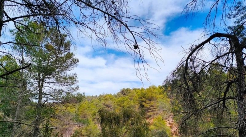 Teruel - Vall-de-roures - 38351m2