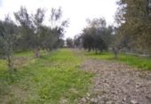Terreno no urbanizable en venta en la España, Calasparra, ref: TR119446 foto