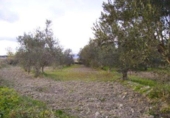 Terreno no urbanizable en venta en la España, Calasparra, ref: TR119446 foto