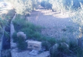 Terreno no urbanizable en venta en la España, Calasparra, ref: TR119446 foto