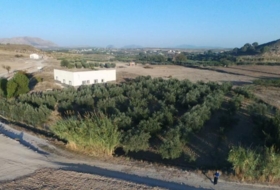 Foto 12