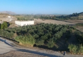 Terreno no urbanizable en venta en la España, Calasparra, ref: TR119446 foto