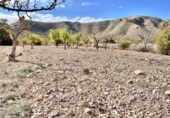 Non-developable land for sale on España, Orihuela, ref: TR130374 photo