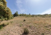 Non-developable land for sale on España, Carataunas, ref: TR319688 photo