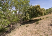 Non-developable land for sale on España, Carataunas, ref: TR319688 photo