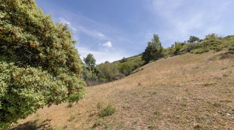 Granada - Carataunas - 3360m2