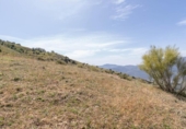 Non-developable land for sale on España, Carataunas, ref: TR319688 photo