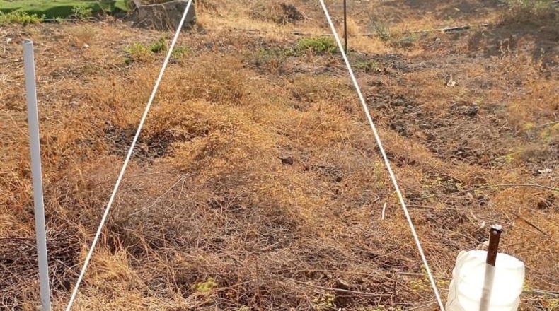 Las Palmas - Telde - 329m2