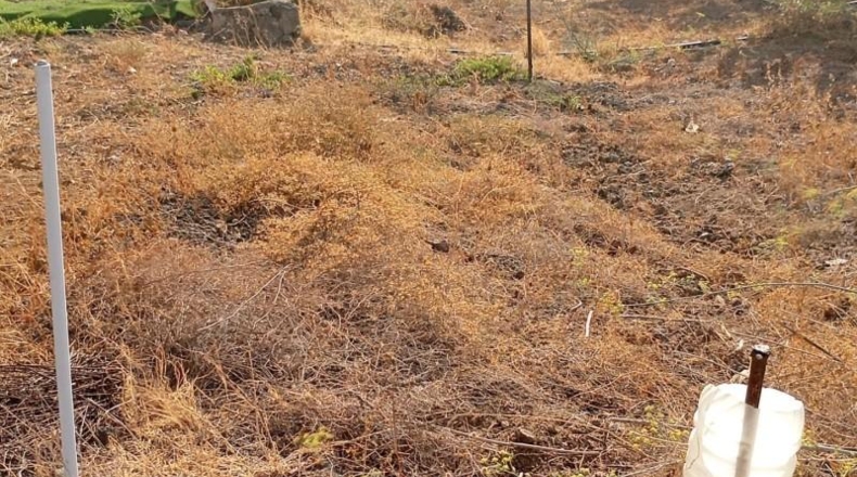 Las Palmas - Telde - 329m2
