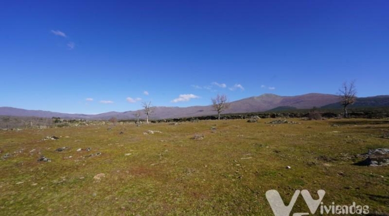 Guadalajara - Campillo de Ranas - 3779m2