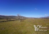 Terreno no urbanizable en venta en la España, Campillo de Ranas, ref: TR128678 foto