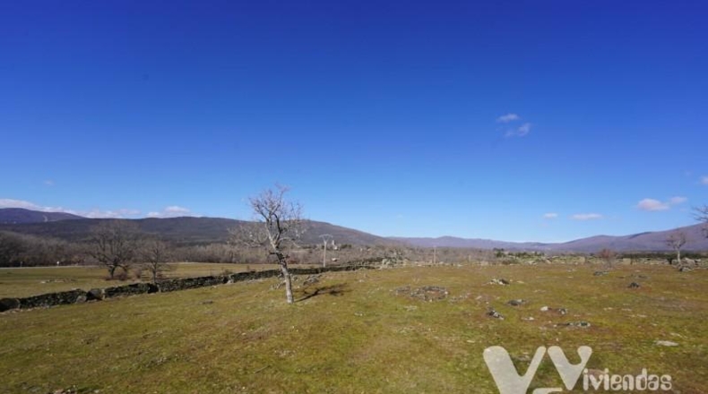 Guadalajara - Campillo de Ranas - 3779m2
