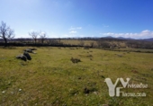 Terreno no urbanizable en venta en la España, Campillo de Ranas, ref: TR128678 foto