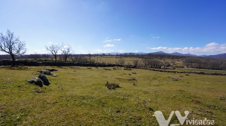 Guadalajara - Campillo de Ranas - 3779m2