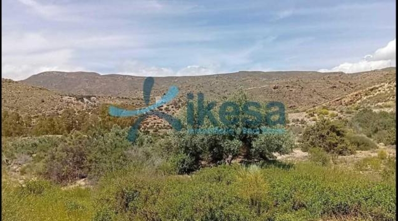 Almería - Lucainena de las Torres - 12201m2