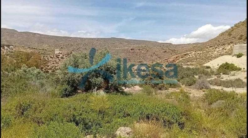 Almería - Lucainena de las Torres - 12201m2