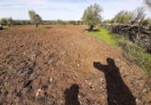 Terreno no urbanizable en venta en la España, Botija, ref: TR317631 foto